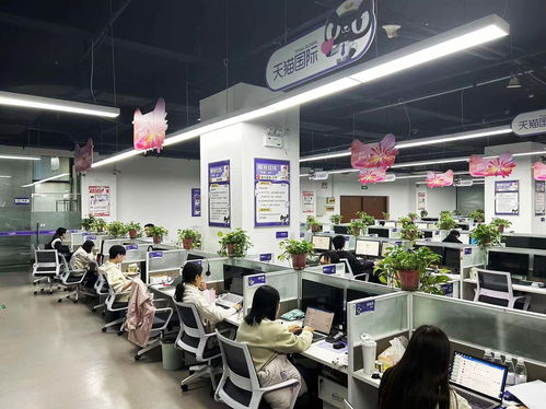 扬州天猫国际自营服务中心迎咨询高峰，300名大学生支援客服工作